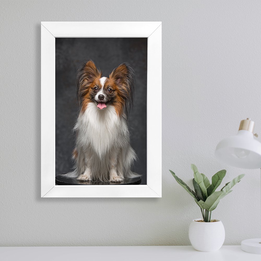 Pet Photo Frame with Personalized photos of size 8X12, 12X12, 12X18 inch….. up to 20X30 inch | vertical & Horizontal | Available in Multiple Size | Wall Mount